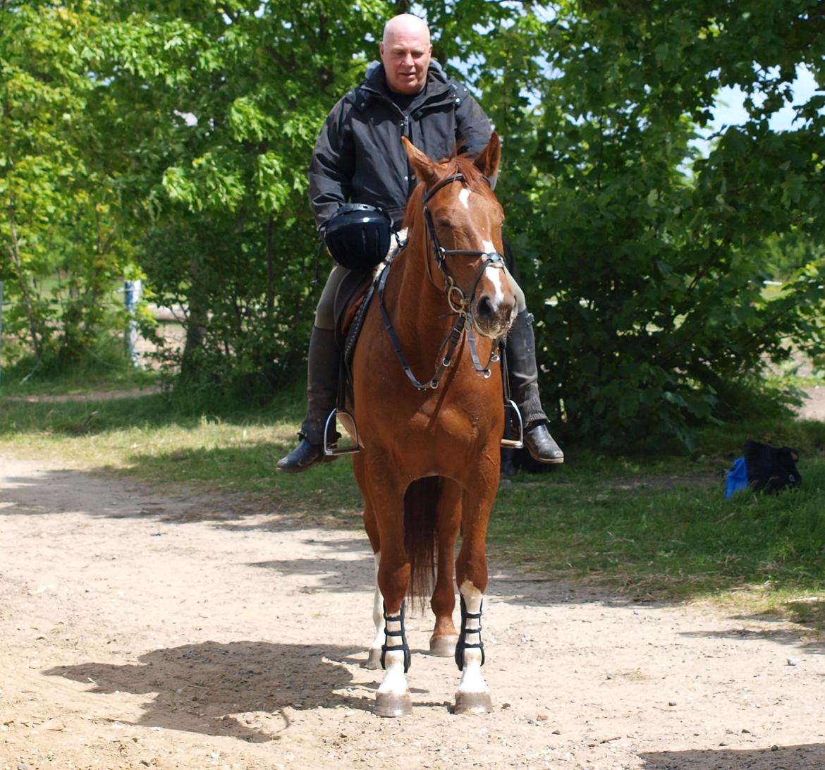 Holstener Monique billede 19