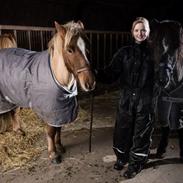 Islænder Askjör fra Lyskjær [Mit kæreste eje]