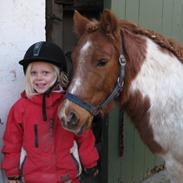 Anden særlig race Spirit