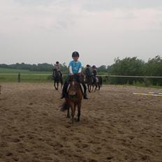 Anden særlig race Felix