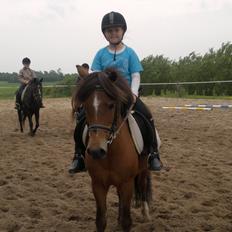 Anden særlig race Felix