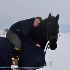 Frieser Geartsje Tjimske K. [Solgt]