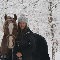 Welsh Cob (sec D) Flora <<3