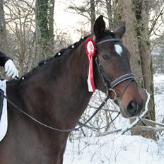 Oldenborg Valiant