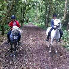 Anden særlig race Fiona