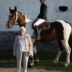 Pinto Shamrocks Jumping Jack Flash/Hoelgaard's Ferrari E