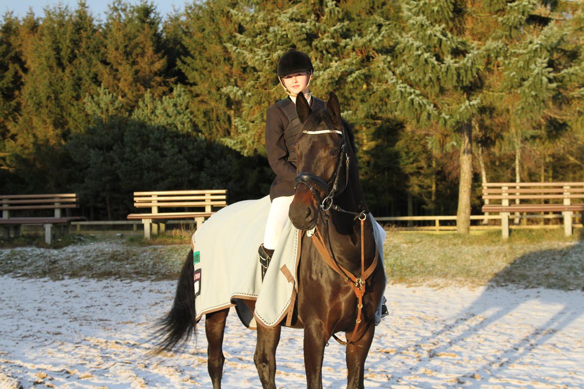 Dansk Varmblod Danglo's Omega - Omega og mig efter sponsorstævne på klubben hvor vi sprang 125 cm i højdespring<3 Foto: Far billede 11