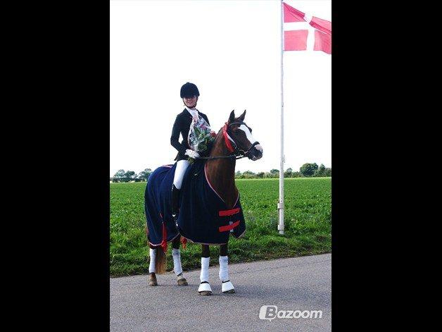 DSP Amadeus A.M billede 2