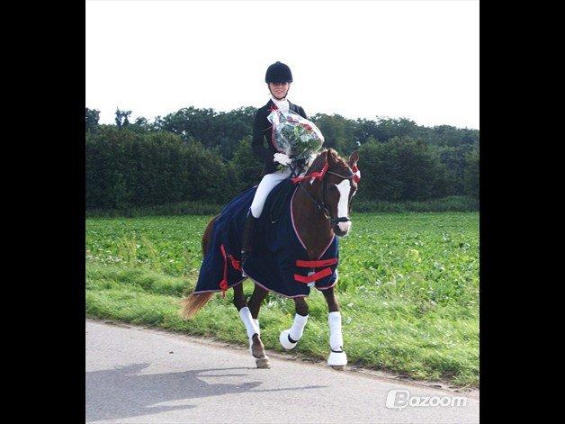 DSP Amadeus A.M billede 3