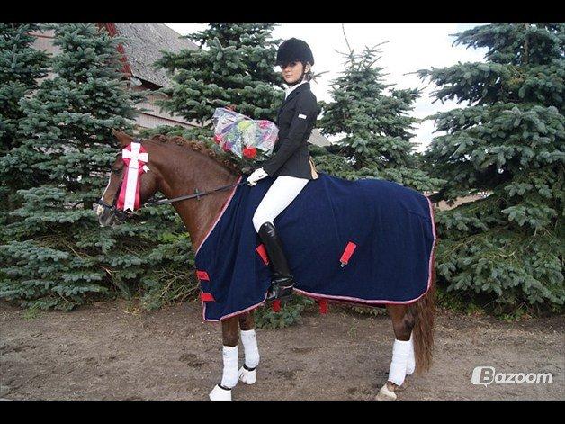 DSP Amadeus A.M billede 4