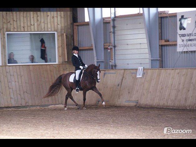 DSP Amadeus A.M billede 6