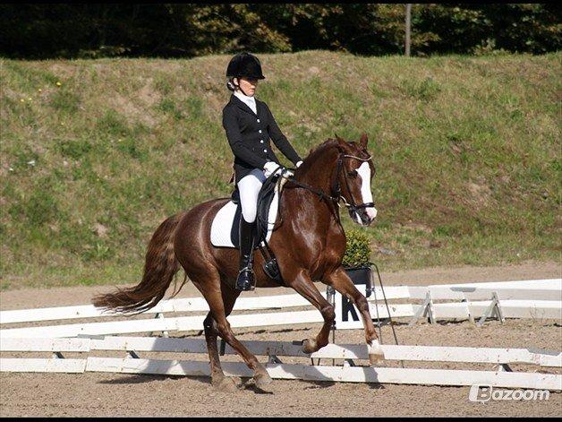 DSP Amadeus A.M billede 7