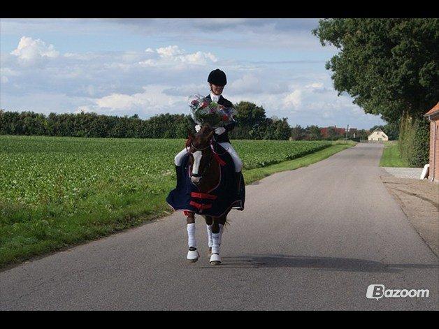 DSP Amadeus A.M billede 9