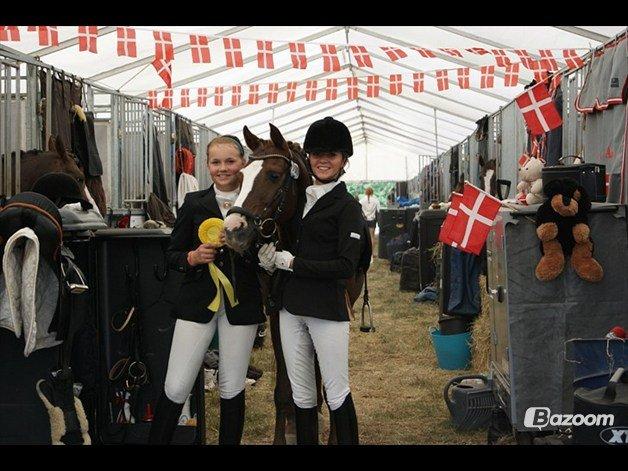 DSP Amadeus A.M billede 10