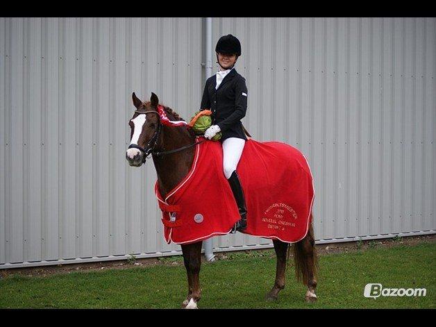 DSP Amadeus A.M billede 12