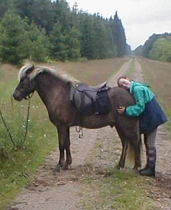 Islænder Kjalar fra Mertehøjen - Søød numse..! billede 4