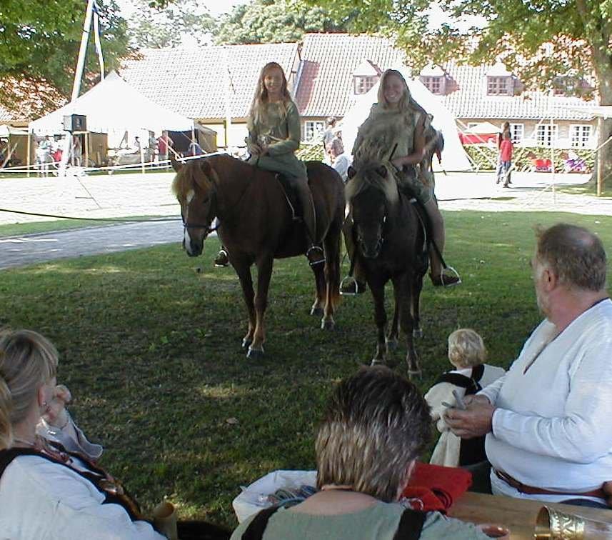 Islænder Kjalar fra Mertehøjen - Viking på Ruinterrænet i Vordingborg. billede 5