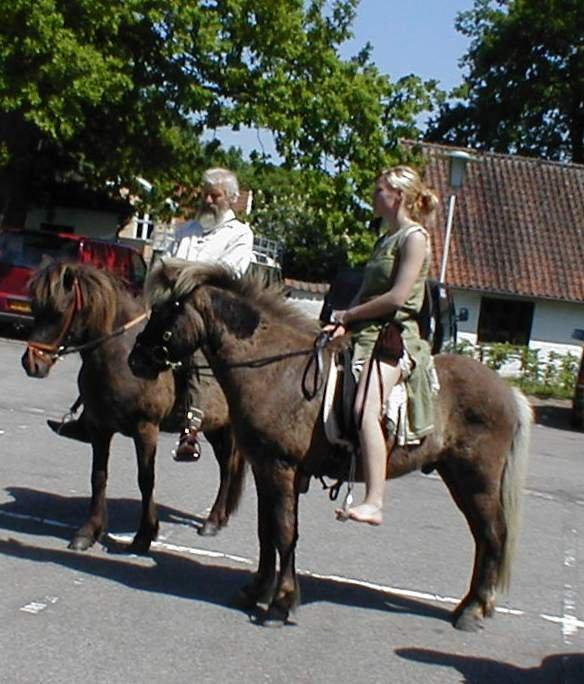 Islænder Kjalar fra Mertehøjen - Á la Viking. billede 6