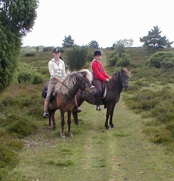 Islænder Kjalar fra Mertehøjen - Kjalar og mor Stetla, min søster og jeg. billede 9