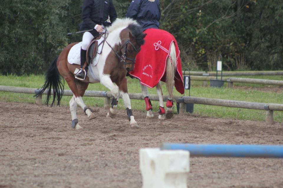 Anden særlig race Jumpy - Opvarming, Skærbæk Rideklub 2012 billede 7