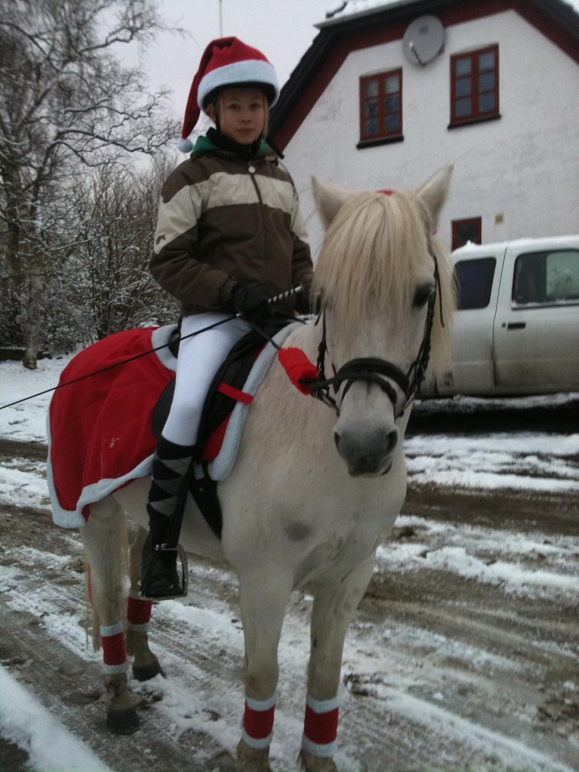 Anden særlig race Kikko - juleoptog<3
D.2/12-12 billede 5