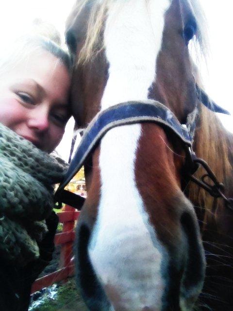 Anden særlig race Amigo - Vores første dag sammen <3.  billede 8