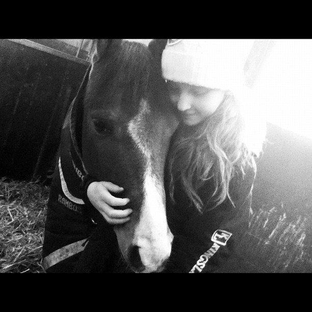DSP Lundgårds Adonis halv A-pony SOLGT - jeg elsker dig!<3 billede 15