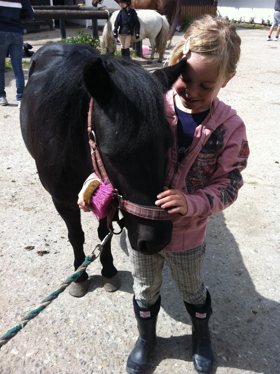 Shetlænder Madonna - Det sødeste  tøze makker par :) billede 2