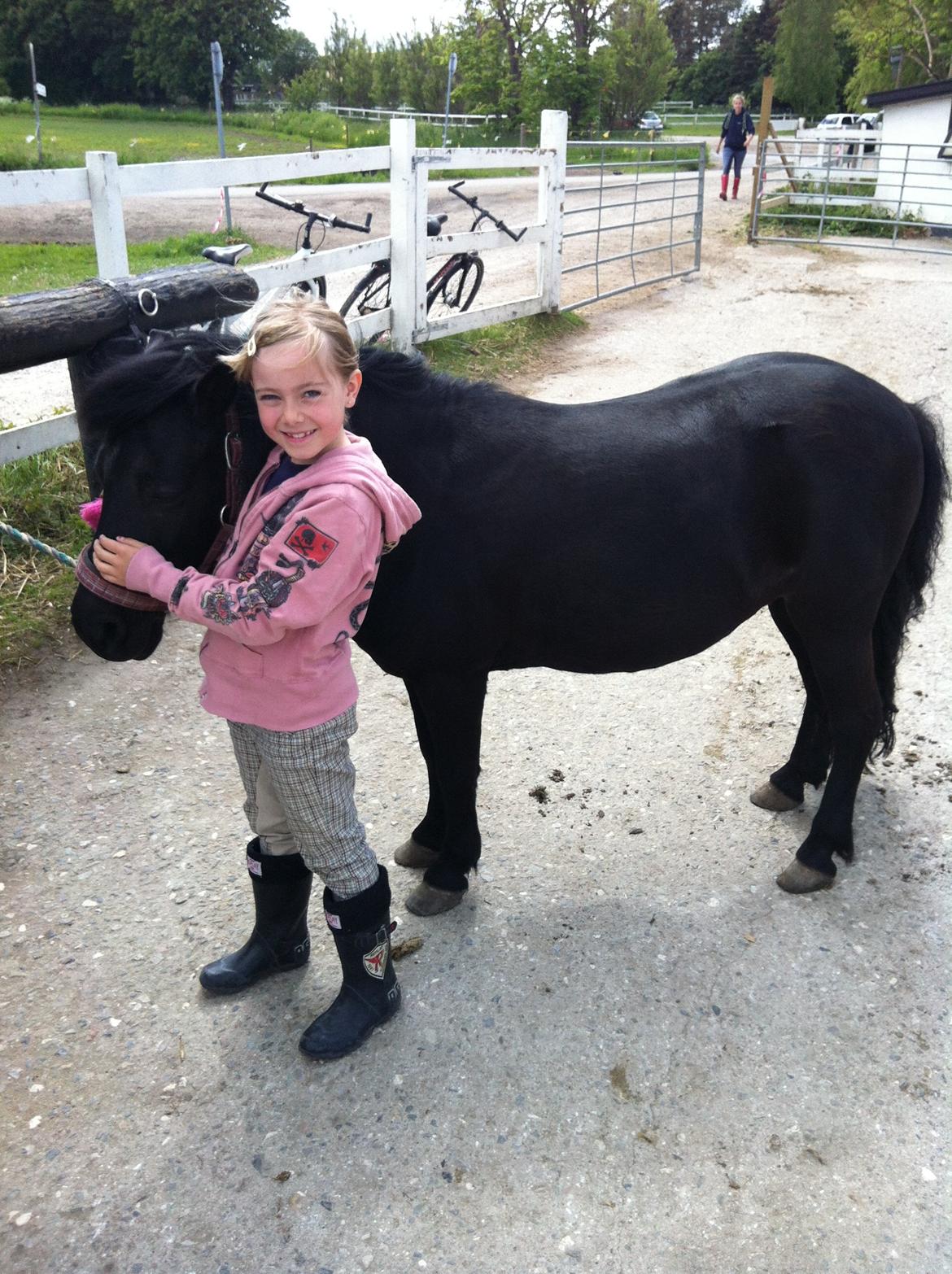 Shetlænder Madonna - Dejligt sommer foto på ridedskolen i sommer billede 1
