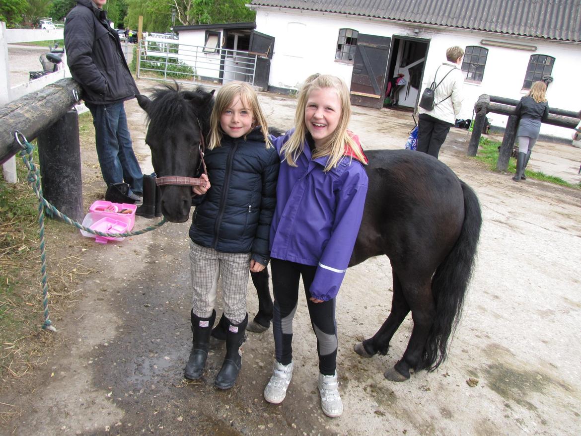 Shetlænder Madonna - Silvia og veninde Fie som rider på samme ridehold :) billede 11