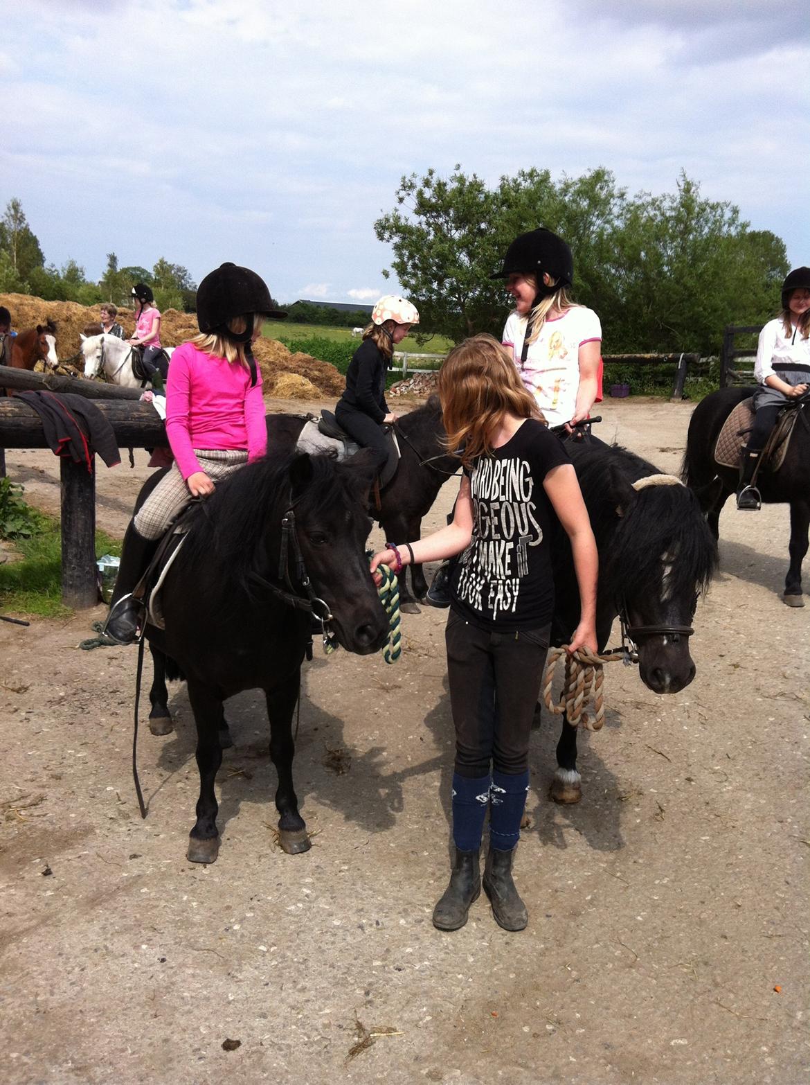 Shetlænder Madonna - Første skovtur på Madonna billede 5