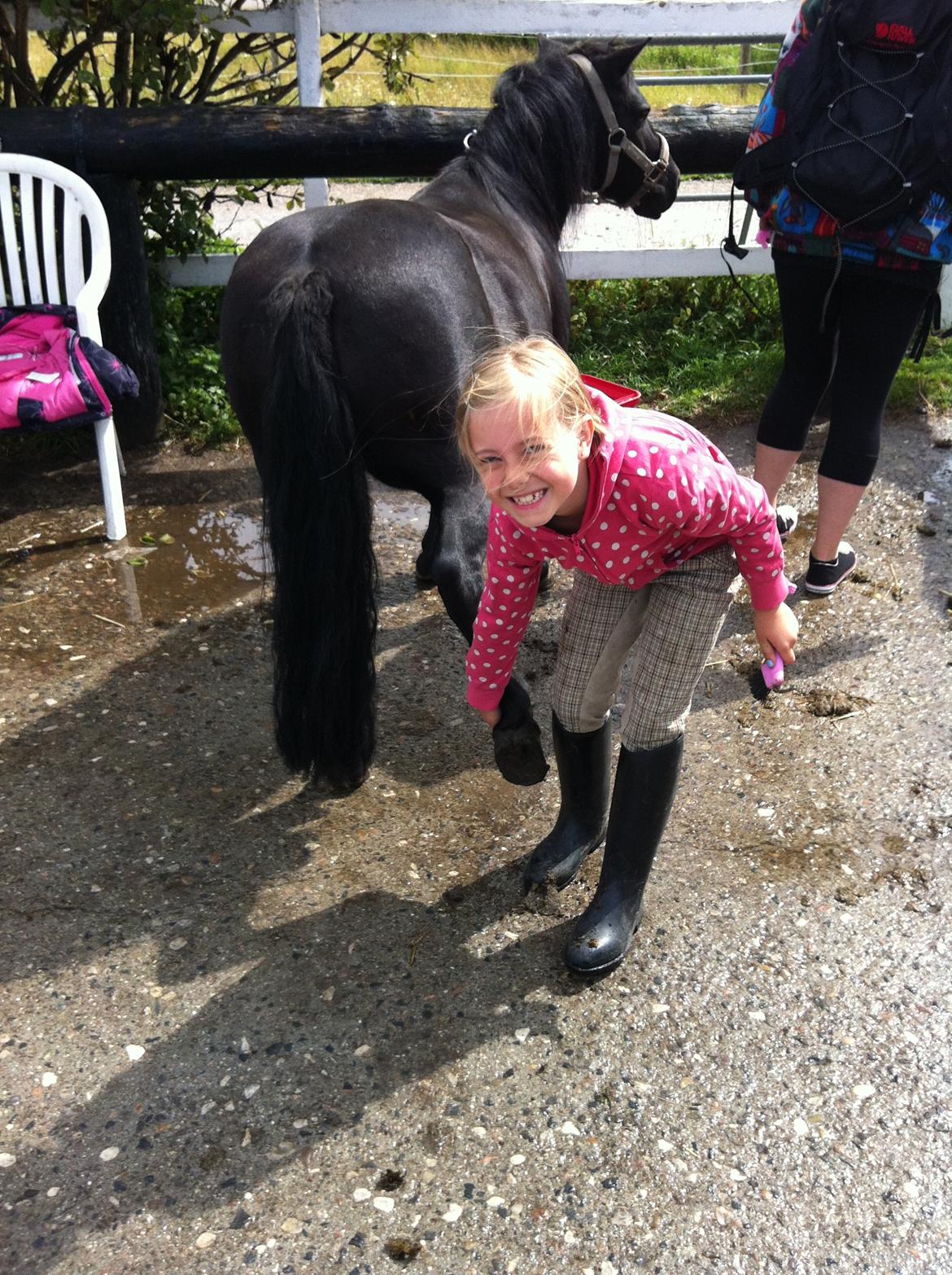 Shetlænder Madonna - Op med fussen billede 4