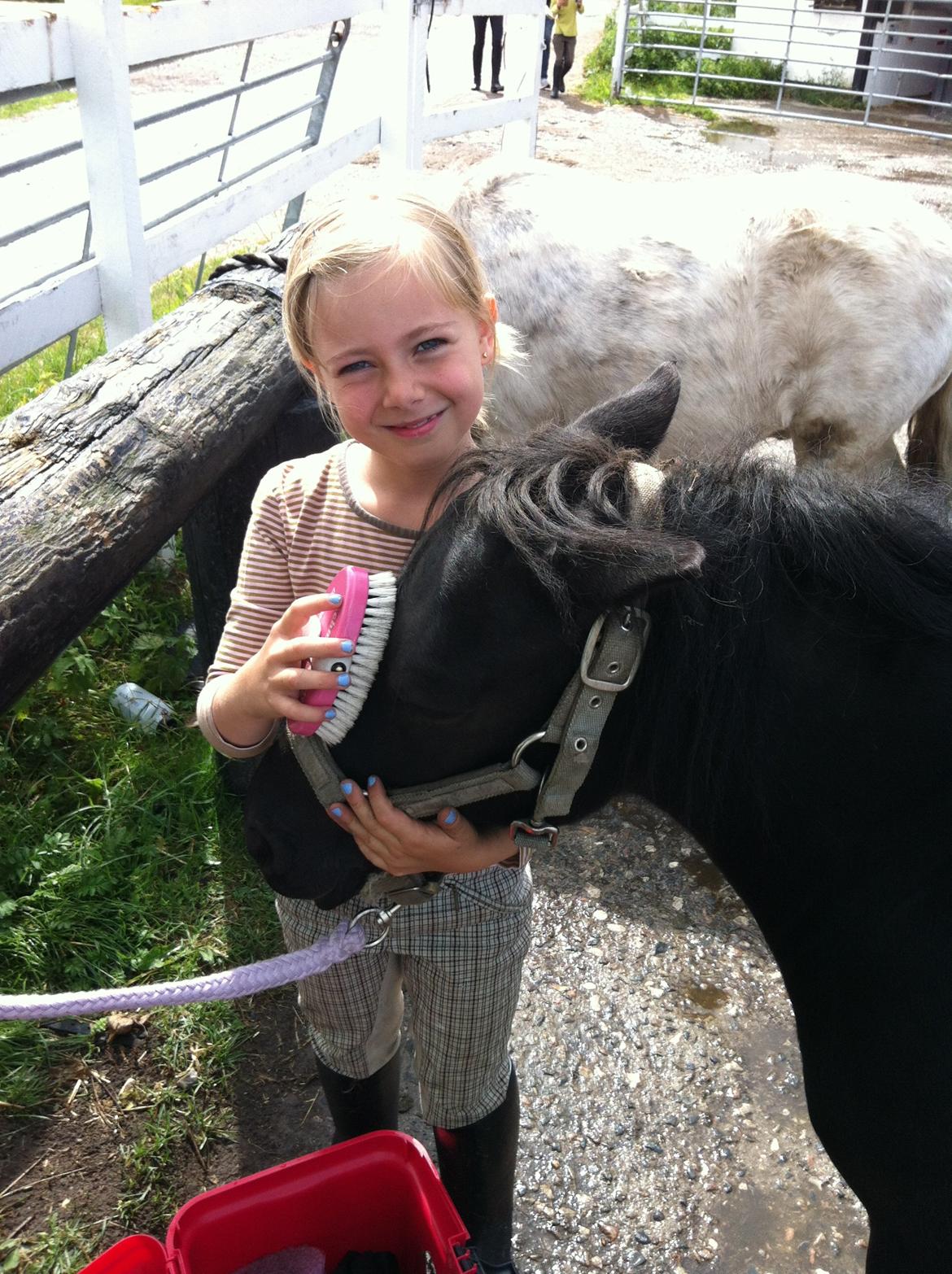 Shetlænder Madonna - De 2 nussehoveder  billede 3