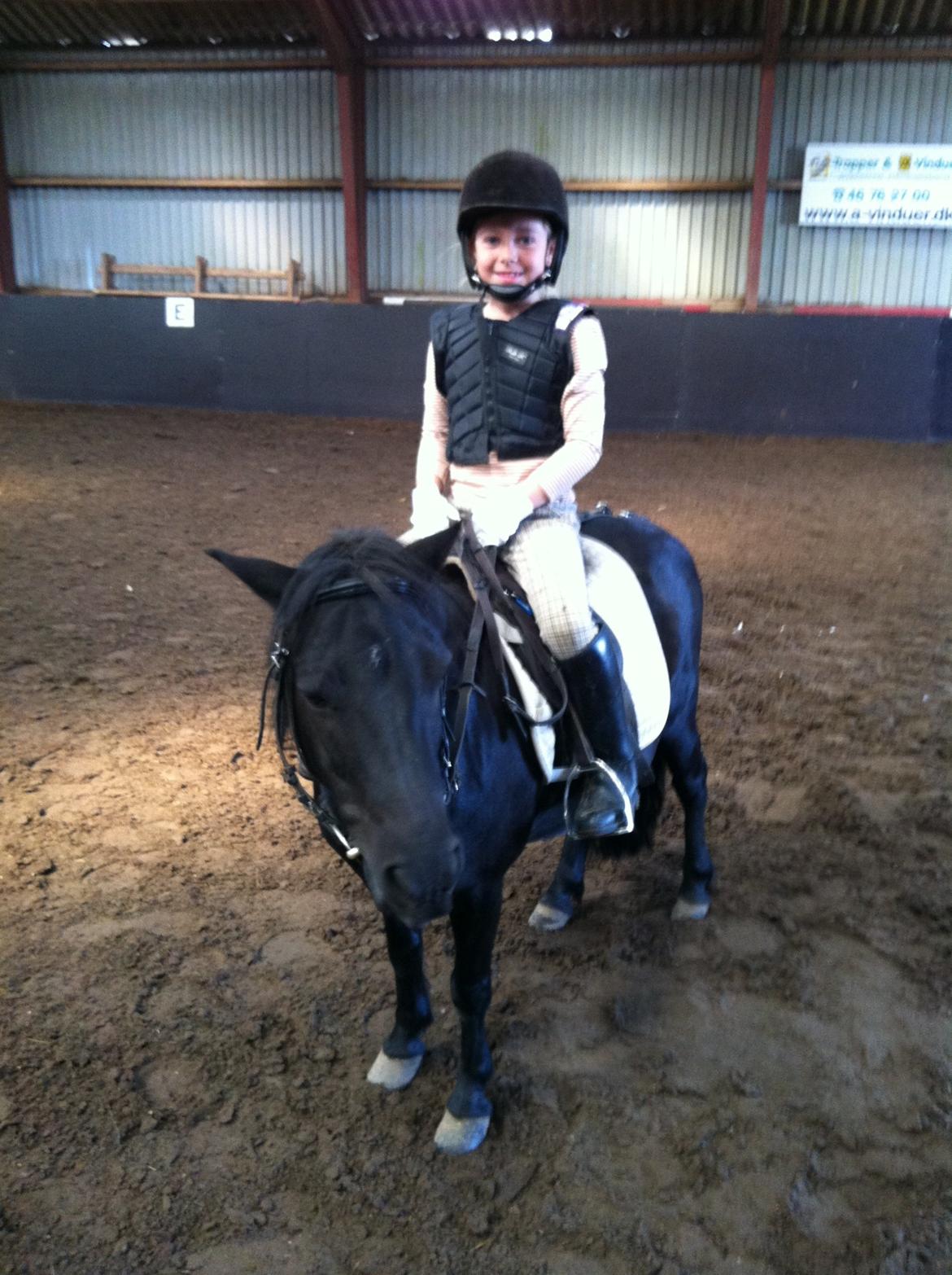 Shetlænder Madonna - RIGTIG go´rideetime, galopperede for 1´ste gang! :) billede 7