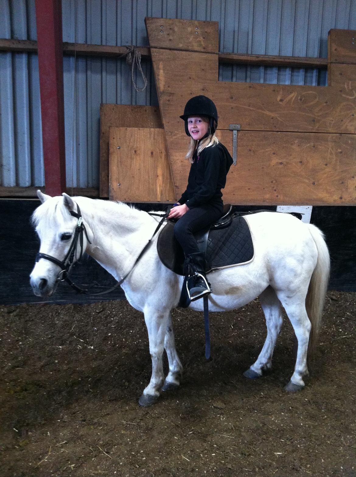 Shetlænder Madonna - Fie-pigen på Christelle, 2 gang Fie er med til ridning i sommer. billede 12