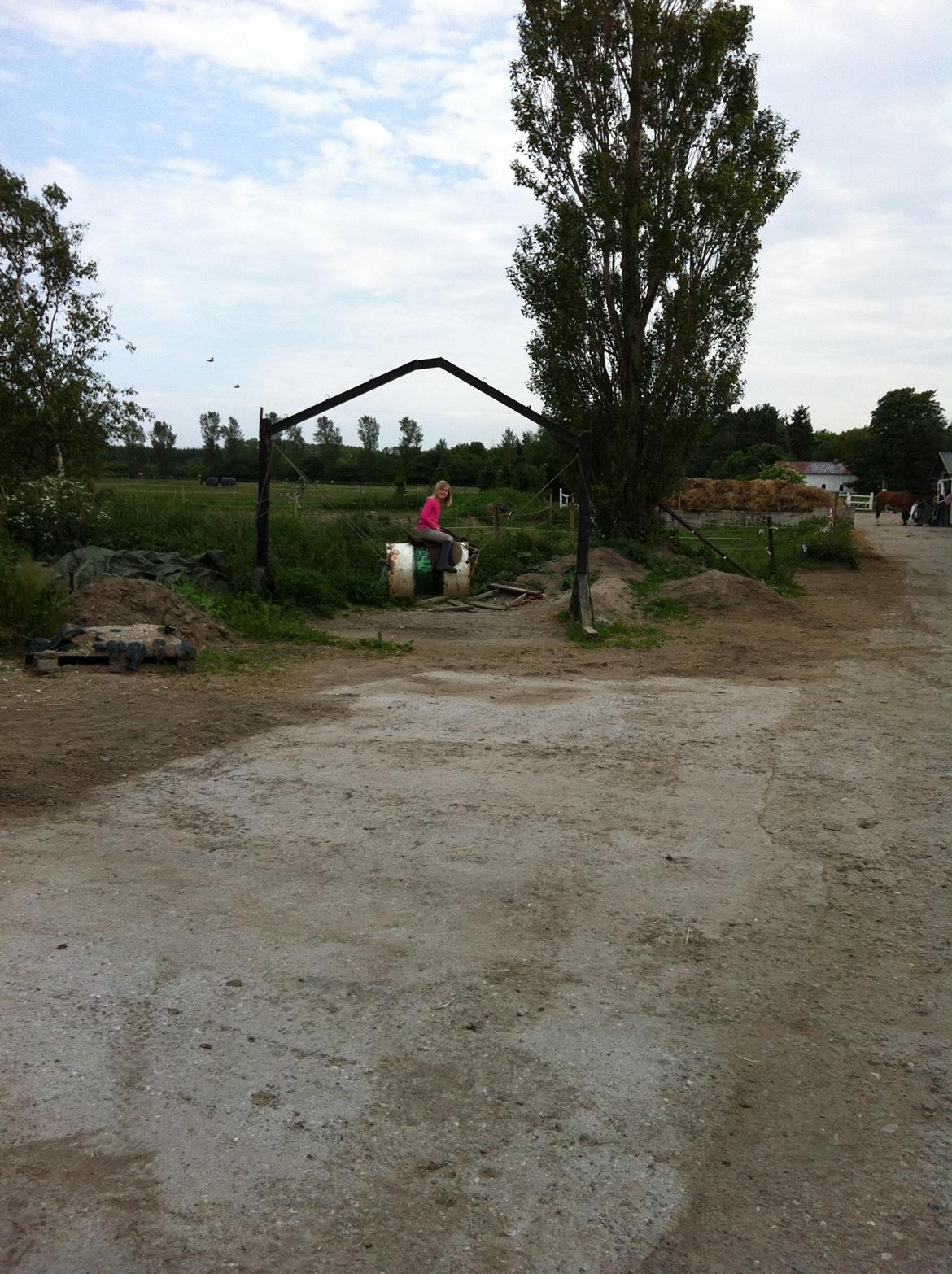 Shetlænder Madonna - Og så var der oz li´tid til en tur på rodeo-tønden inden hjhem turen ;) billede 16