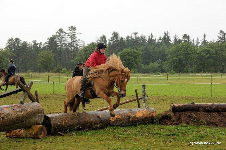 Islænder Sleipnir fra eskildsminde - Alrid træning billede 9