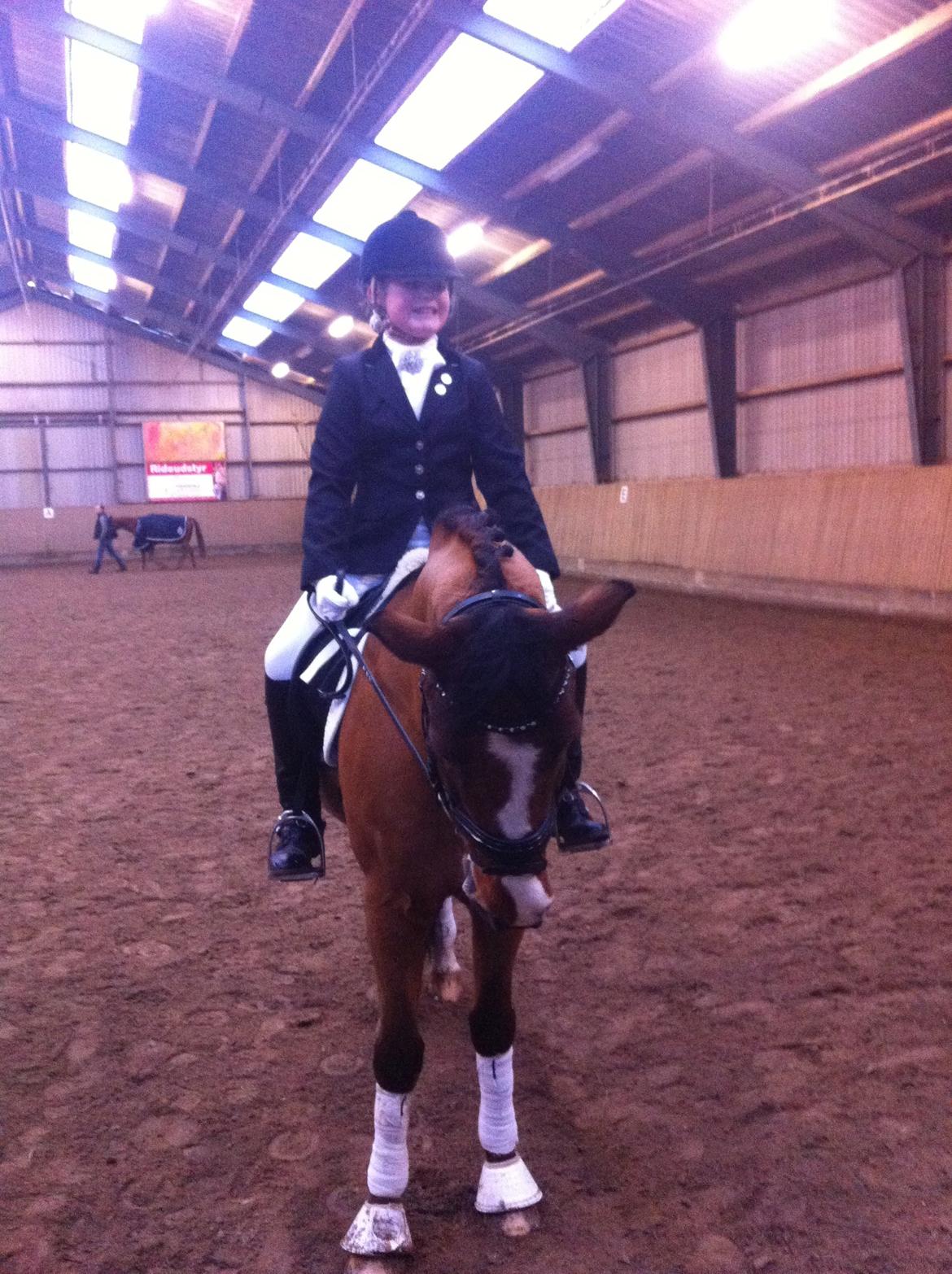 New Forest Fuglekildes Macoy billede 13