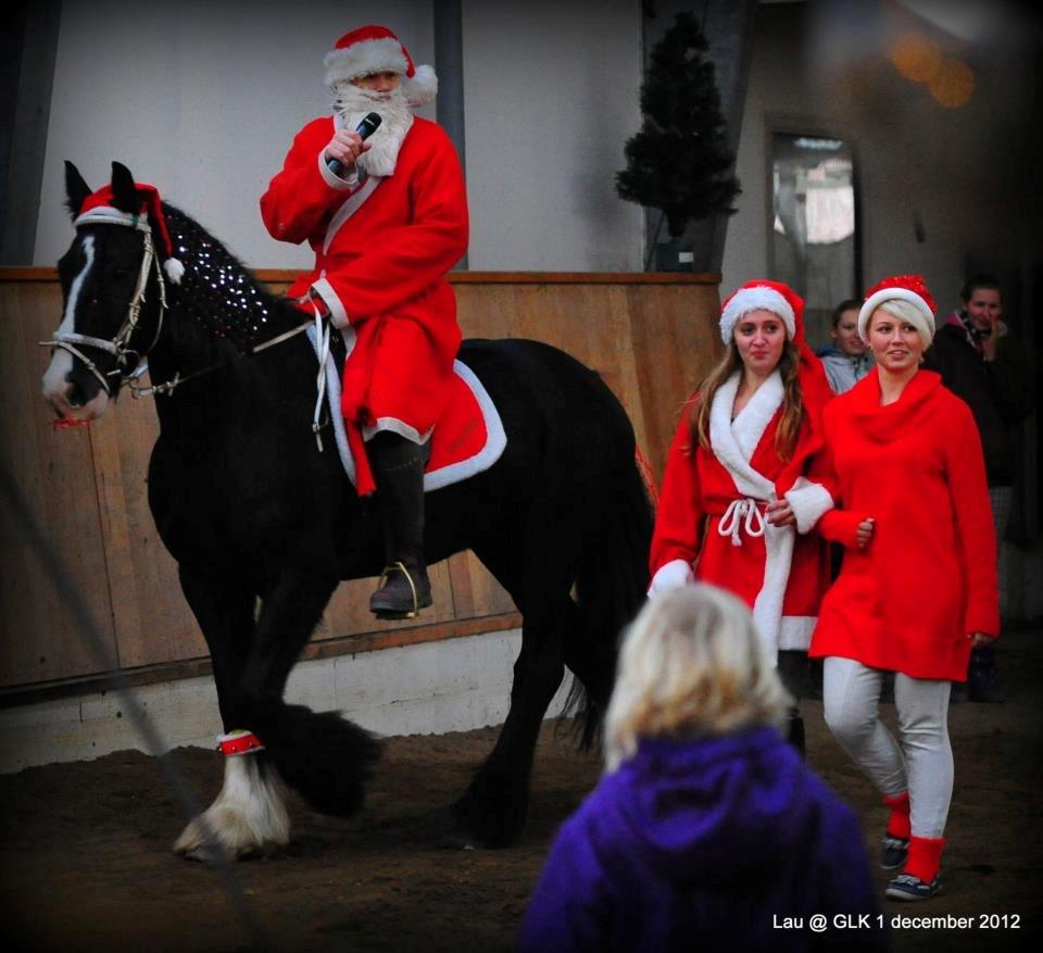 Tinker Lille Per - Så var Per julemandshest til julehygge på Parcelgården d. 1/12-12, med lys i manen og sløjfer i skægget ;) billede 21