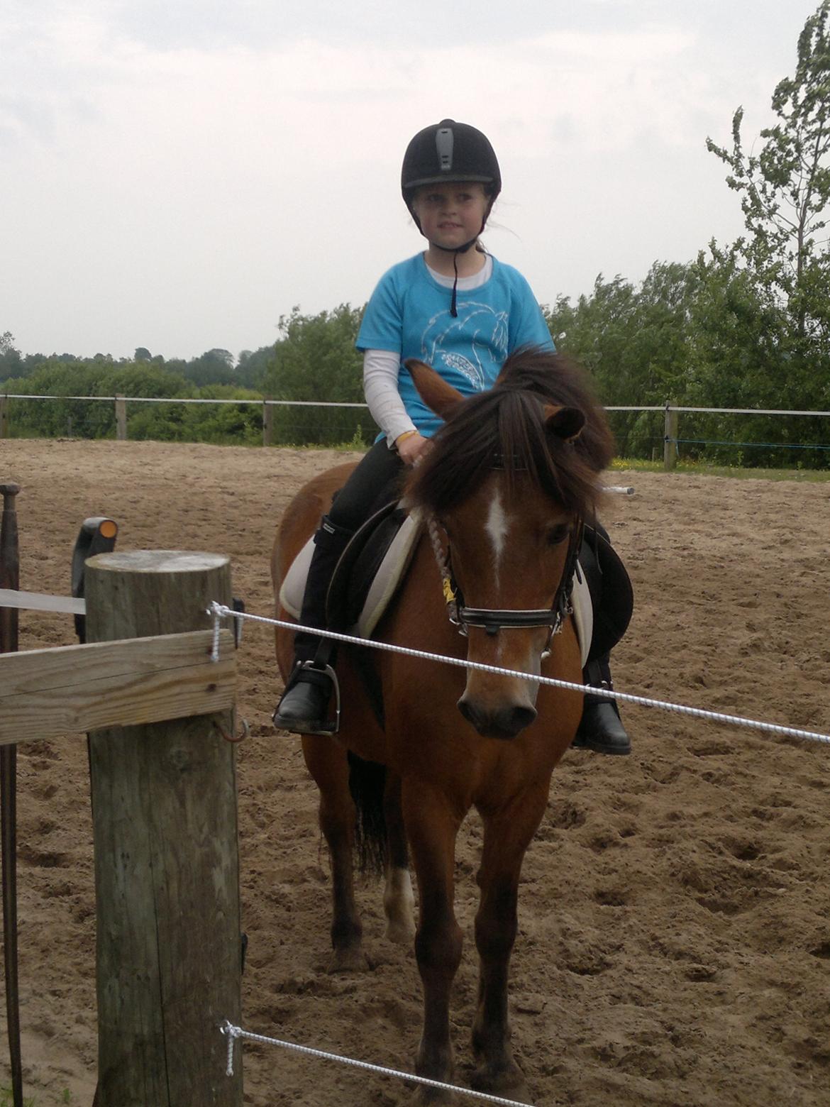 Anden særlig race Felix billede 4