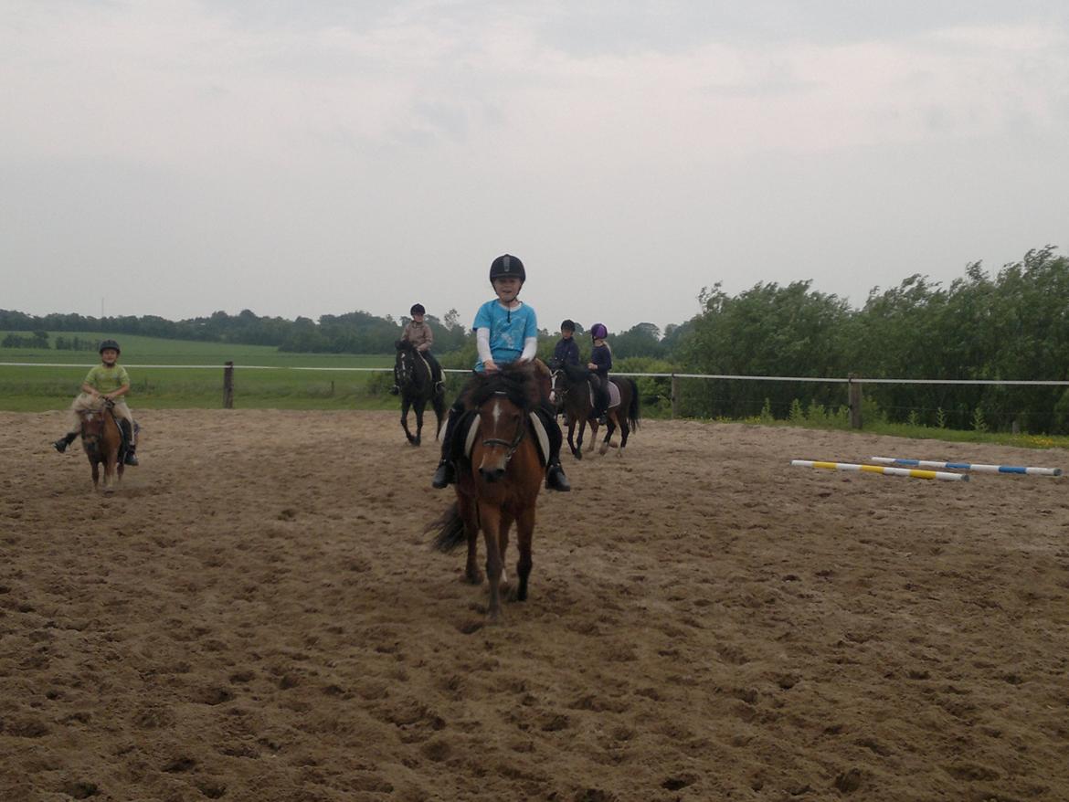 Anden særlig race Felix - Min lillesøter og Felix til pony games weekend billede 3