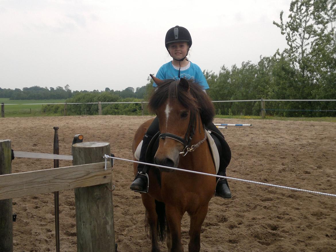 Anden særlig race Felix billede 5