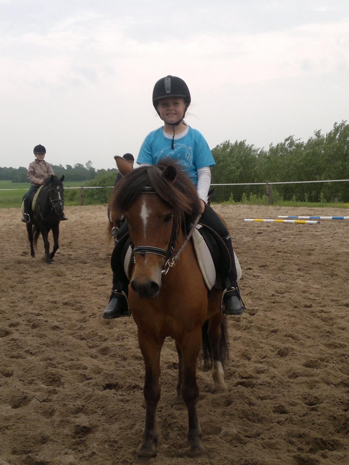 Anden særlig race Felix - Min lillesøter har overtaget ham for mig nu, hvor jeg er blevet for stor.  billede 2