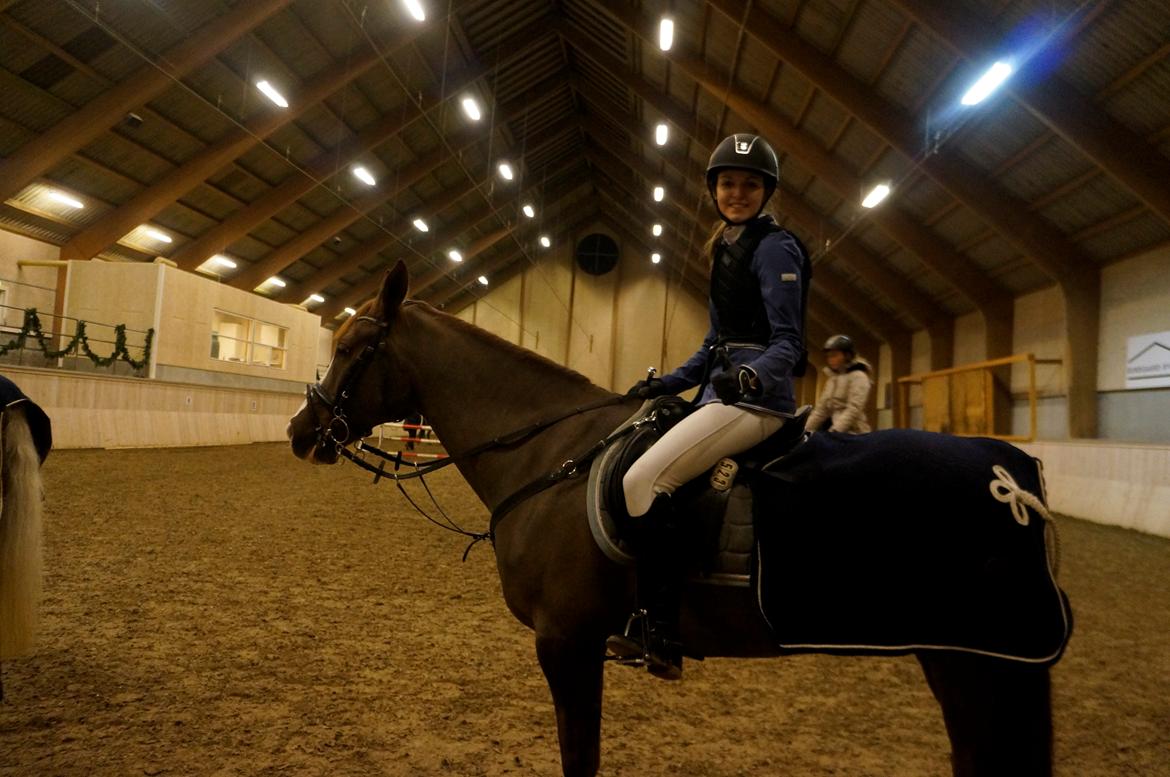 Anden særlig race Pax - Glad efter to fejlfrie runder til Christmas Show og en 10 plads! billede 3