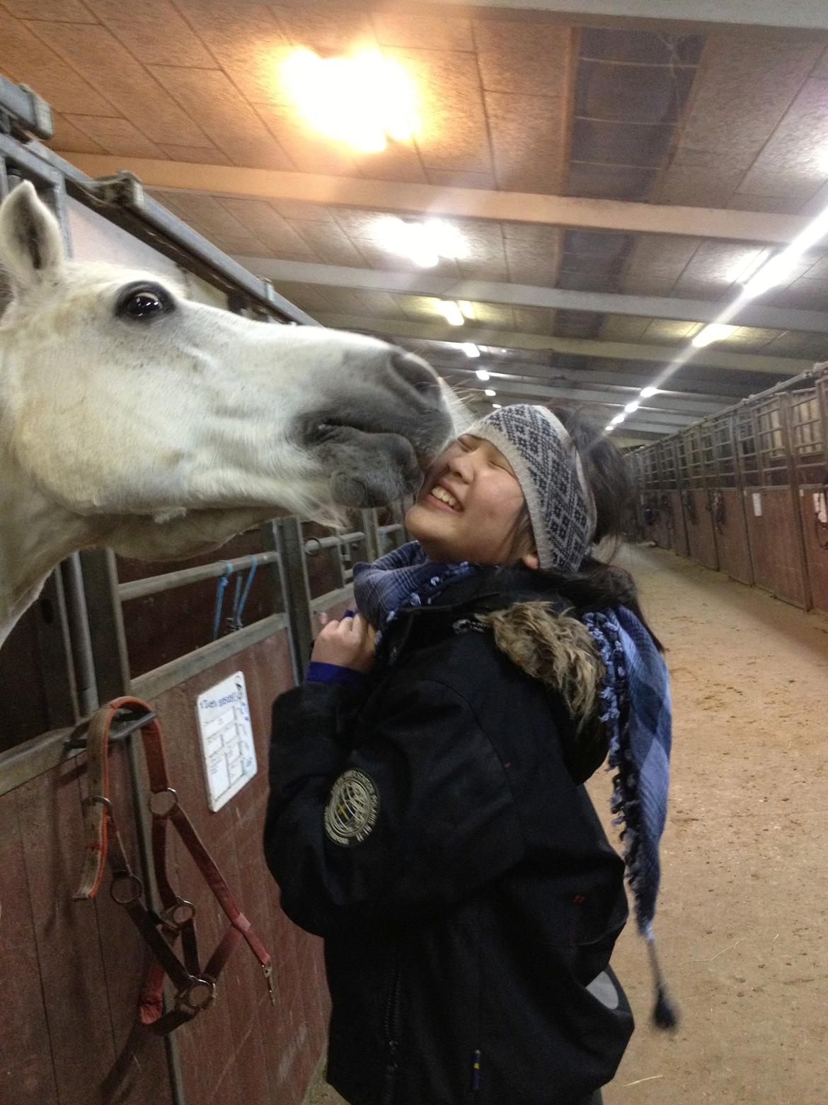 Connemara Hesselholts Marvin <3 - Kys på kinden til verdens heldigste pige fra VERDENS SØDESE PONY! :')  billede 20