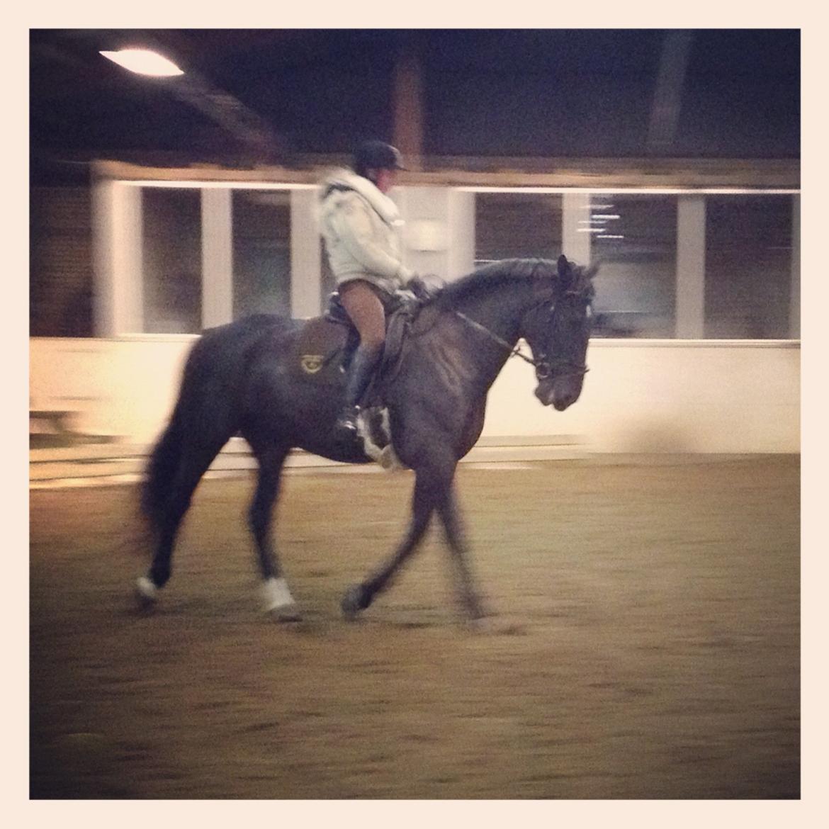 Oldenborg Siska billede 3