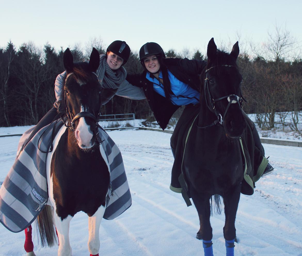 Trakehner Ranette - Prinsesse Nette :-* - Verdens bedste!! :-* 

Stina og Samson!<3 <3 <3 billede 13