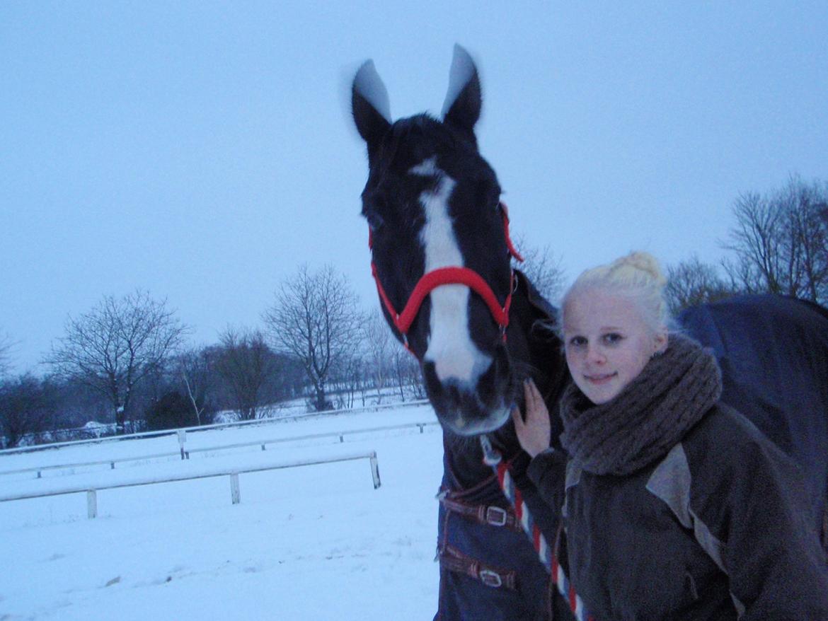 Anden særlig race Apollo - „You can only reach your dreams if you fight for them.“ ♥ billede 5