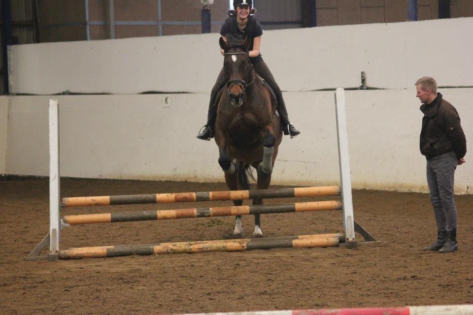 Holstener Monokrat Essenbæk - Monty - Det stråler jo ud af ham! Han elsker det :o) billede 9