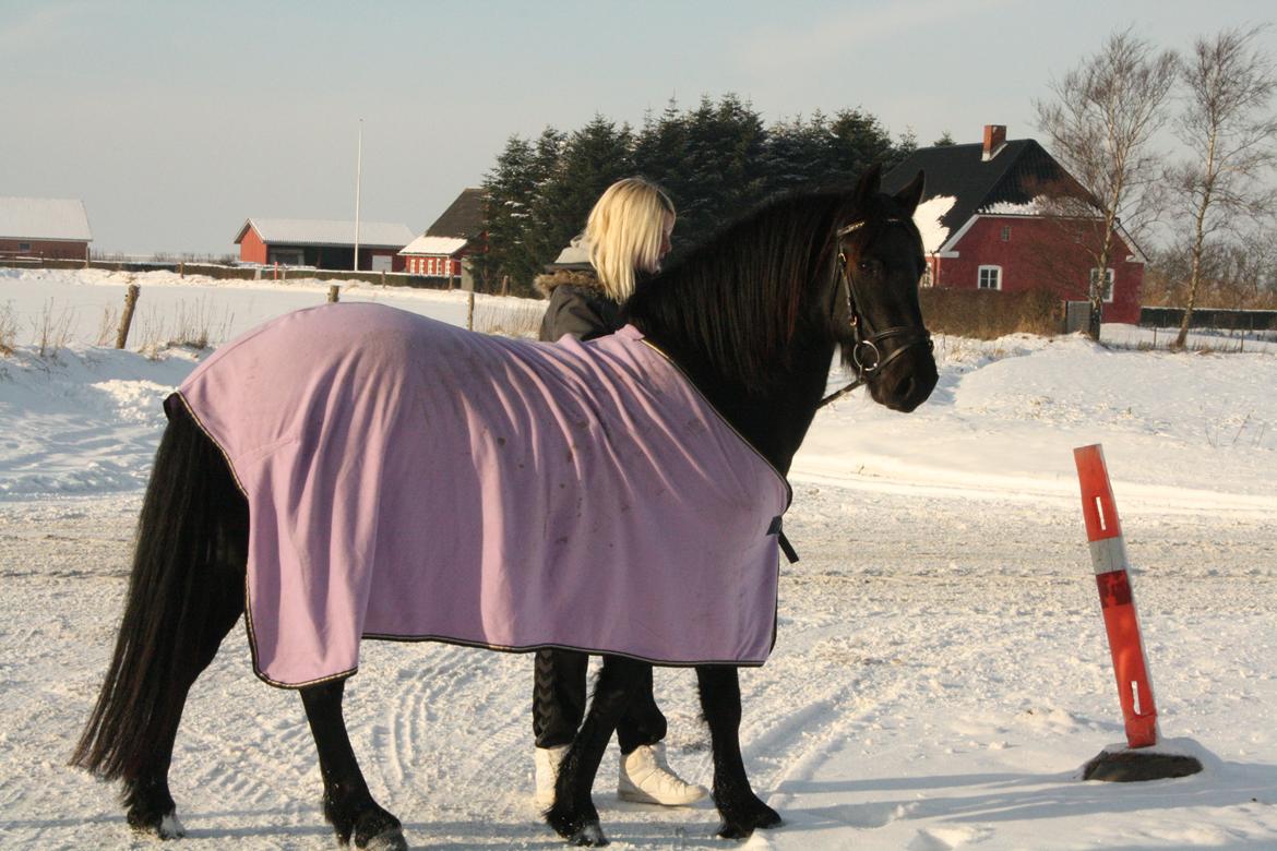 Anden særlig race Nala billede 5